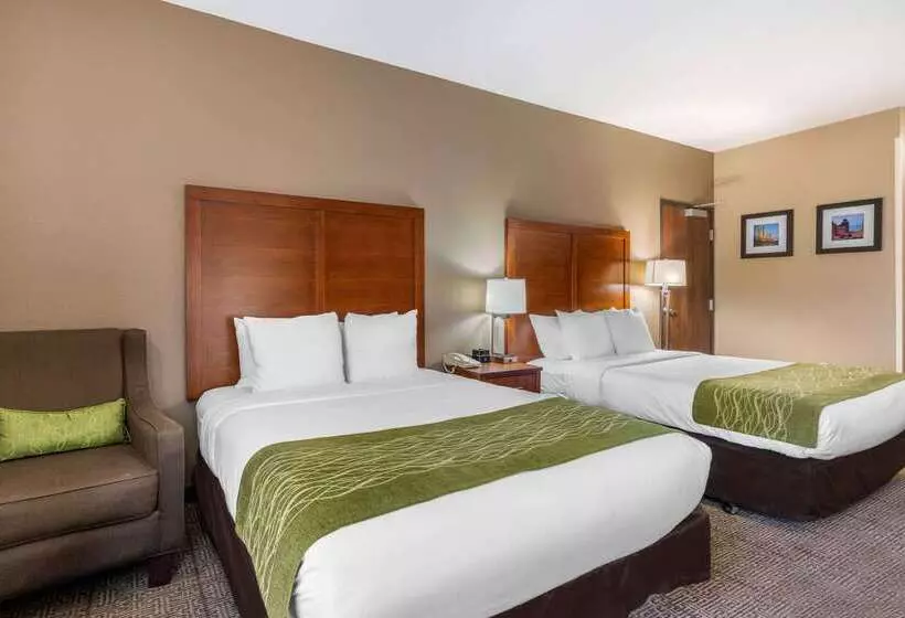 Hotel Comfort Inn & Suites Sacramento   University Area