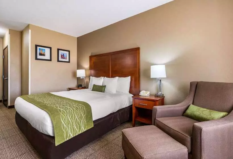 Hotel Comfort Inn & Suites Sacramento   University Area