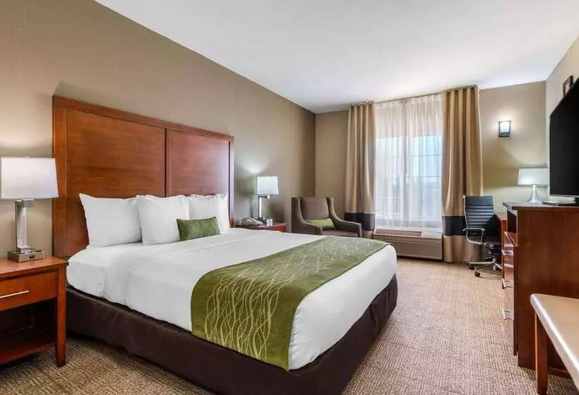 Hotel Comfort Inn & Suites Sacramento   University Area