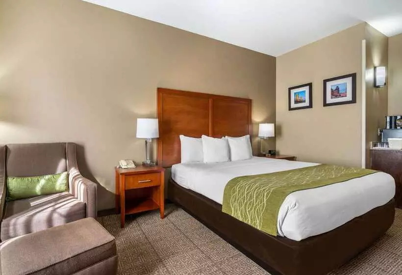 Hotel Comfort Inn & Suites Sacramento   University Area