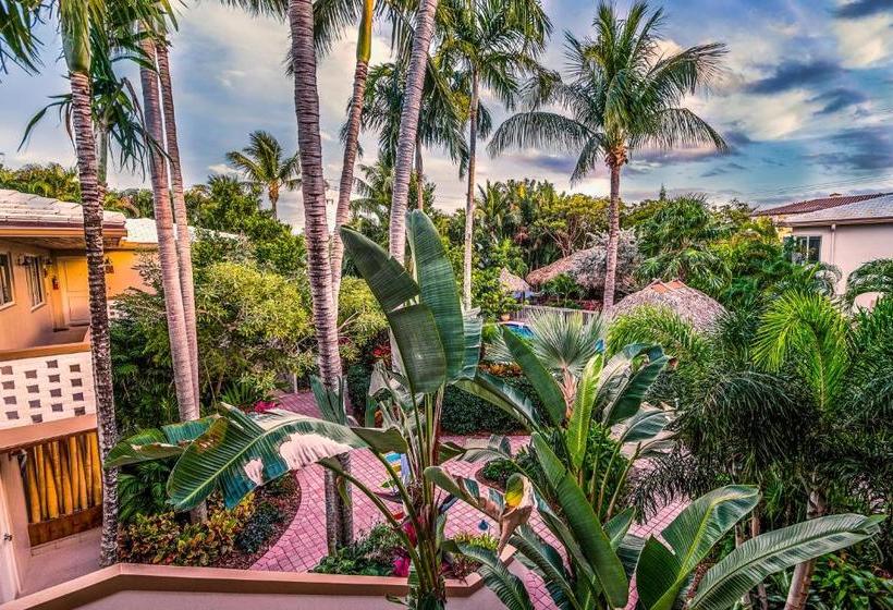 Crane S Beach House Boutique Hotel & Luxury Villas