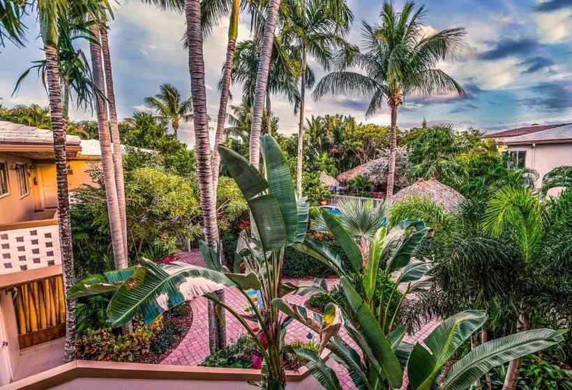 Crane S Beach House Boutique Hotel & Luxury Villas