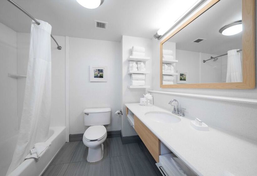 فندق Hampton Inn & Suites Modesto Salida