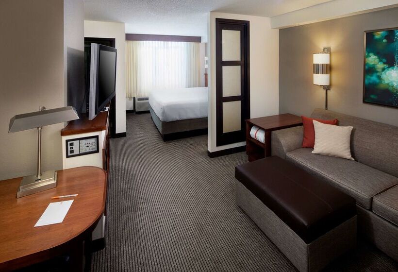 Hotel Hyatt Place Greenville/haywood