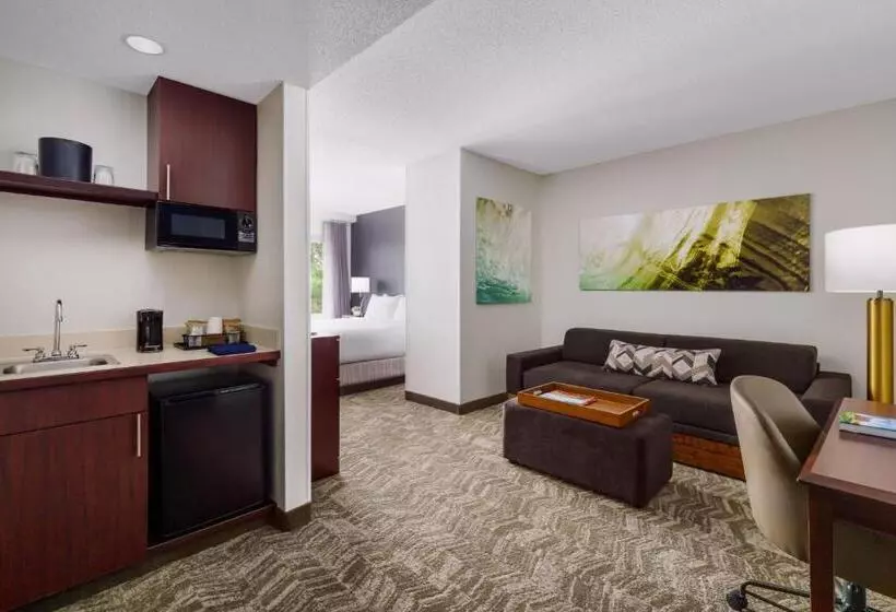 هتل Springhill Suites Manchesterboston Regional Airport