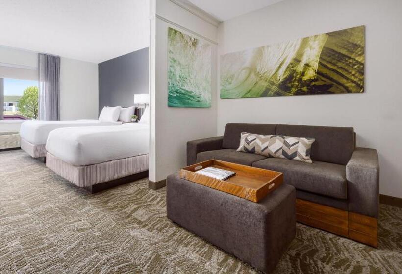 فندق Springhill Suites Manchesterboston Regional Airport