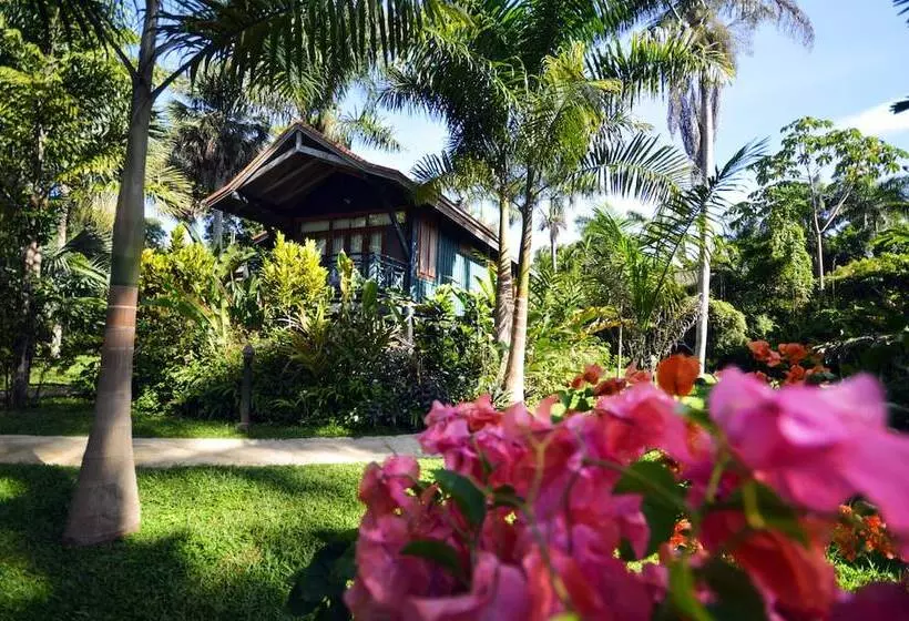 هتل Sunset At The Palms Resort Adults Only All Inclusive