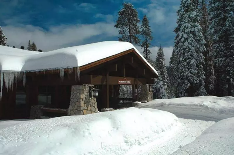 酒店 Wuksachi Lodge