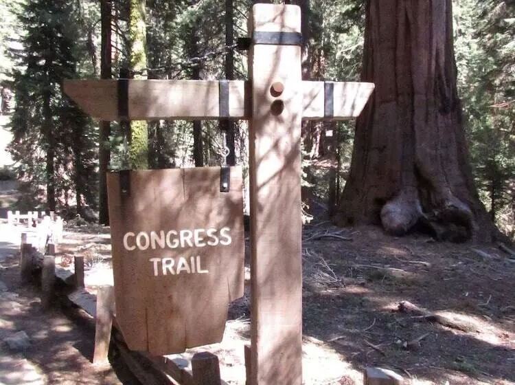 酒店 Wuksachi Lodge