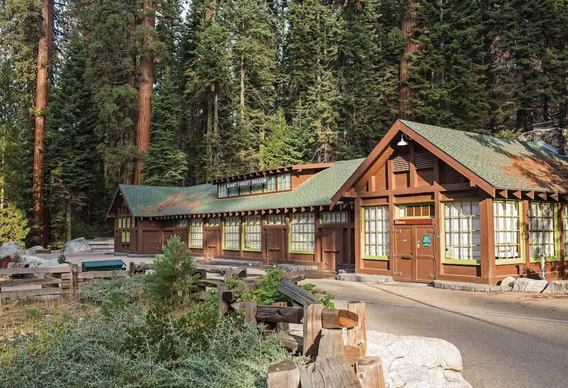 酒店 Wuksachi Lodge