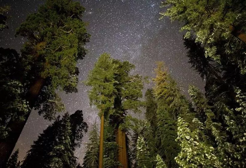 酒店 Wuksachi Lodge