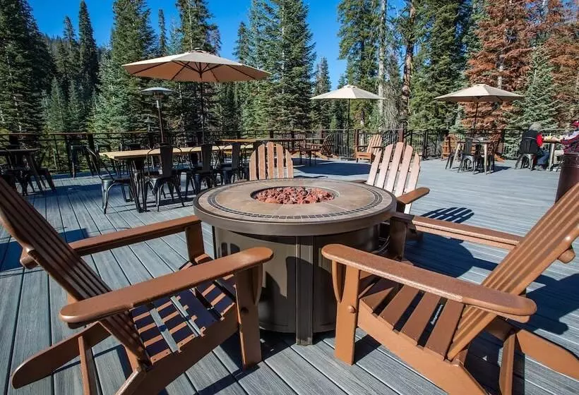 酒店 Wuksachi Lodge