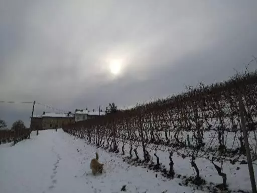 Retkeilymaja Locanda Fontanazza Osteria Con Camere