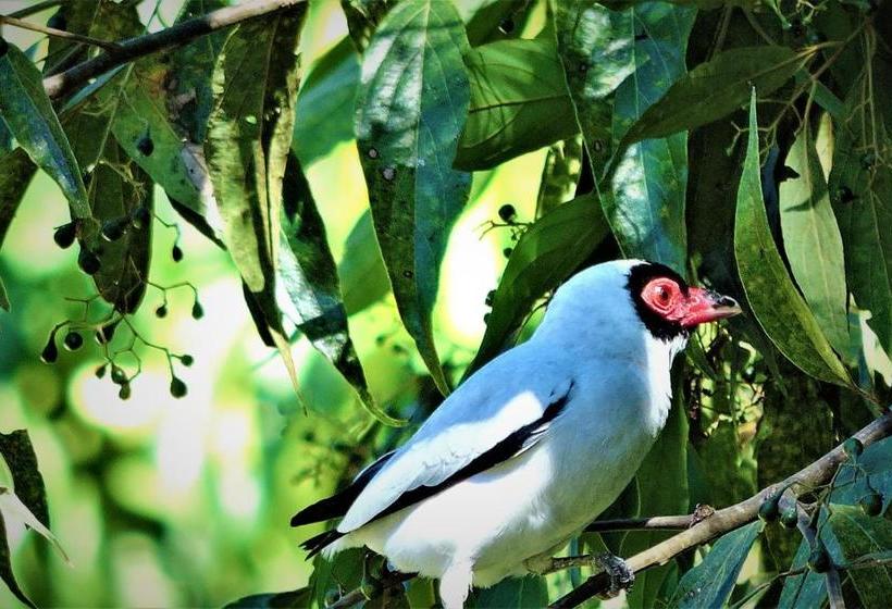 Hostel E Camping Jardim Da Mata