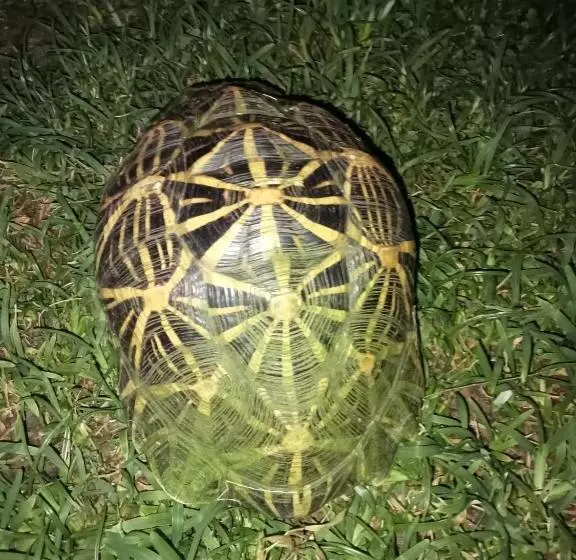 Hotelli Inn Sea Horizon Ahungalla