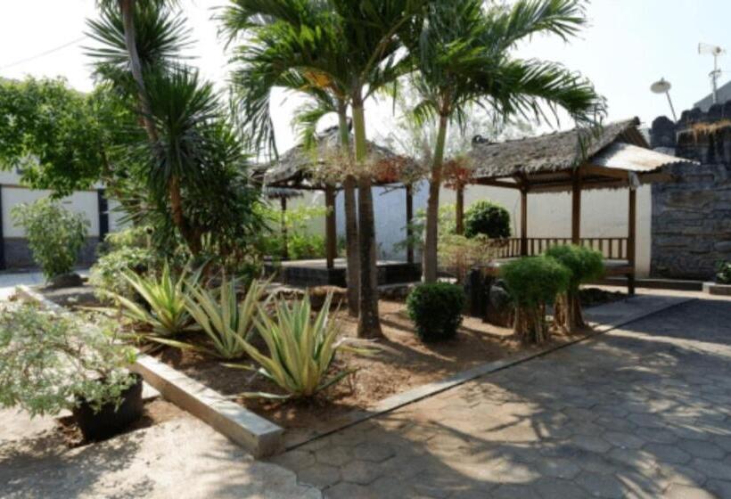 بنسيون Villetta House Syariah