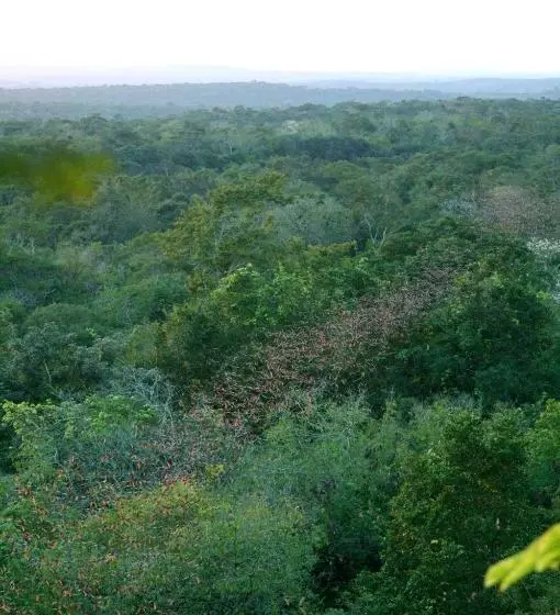 ホテル Puerta Calakmul