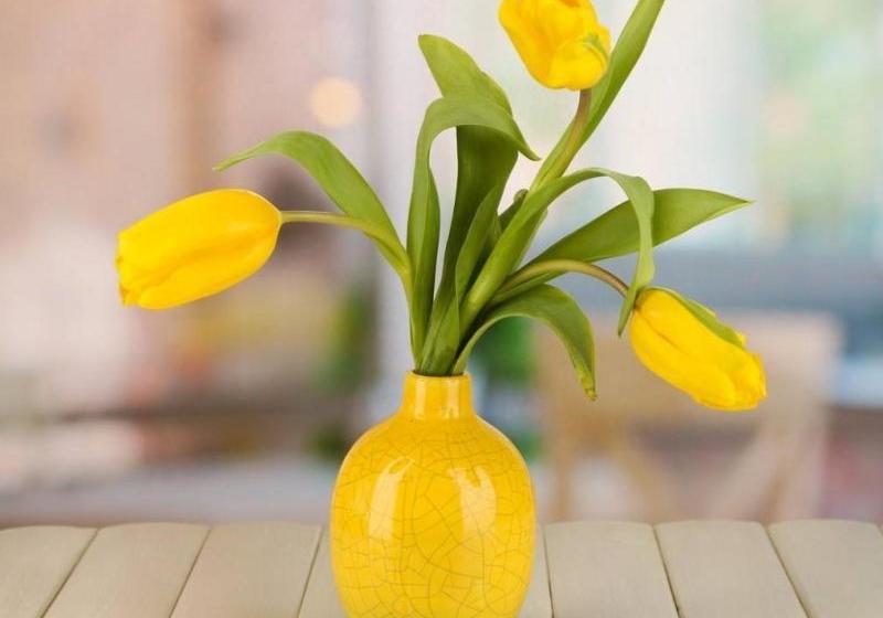 Hotel Shell Zhangjiagang City Jingang Town Rtmart Central Shopping Plaza