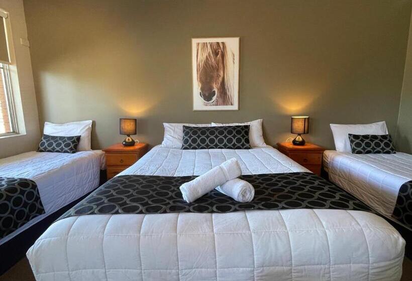 Мотель Quirindi Sunflower Motor Inn