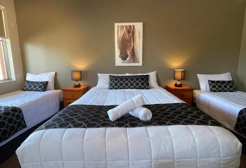 モーテル Quirindi Sunflower Motor Inn