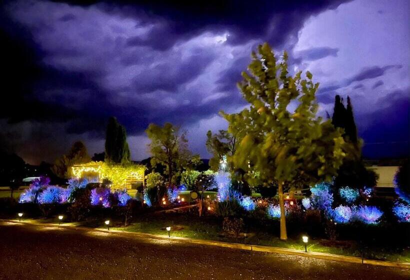 Мотель Quirindi Sunflower Motor Inn