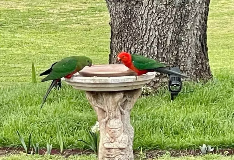 モーテル Quirindi Sunflower Motor Inn