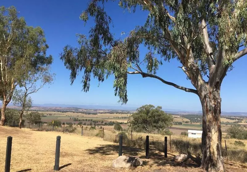 モーテル Quirindi Sunflower Motor Inn