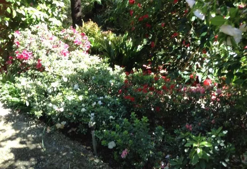 Majatalo Adelaide Hills B&b Accommodation