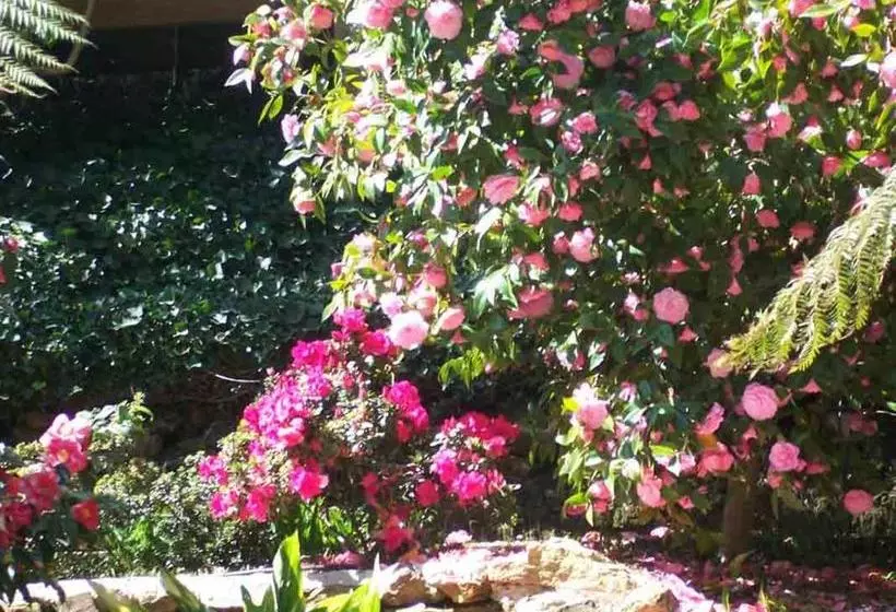 Majatalo Adelaide Hills B&b Accommodation