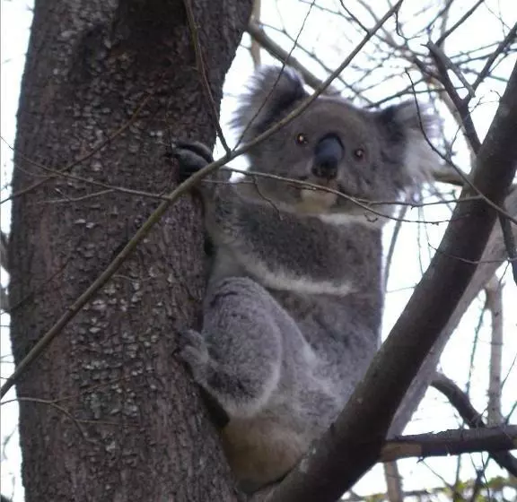 Majatalo Adelaide Hills B&b Accommodation