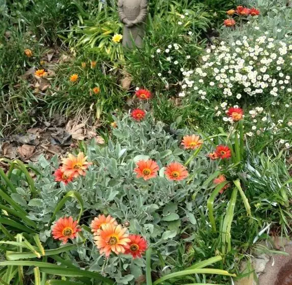 Majatalo Adelaide Hills B&b Accommodation