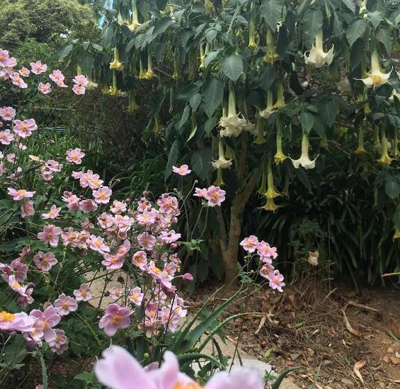 ペンション Adelaide Hills B&b Accommodation