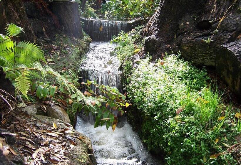 ペンション Adelaide Hills B&b Accommodation