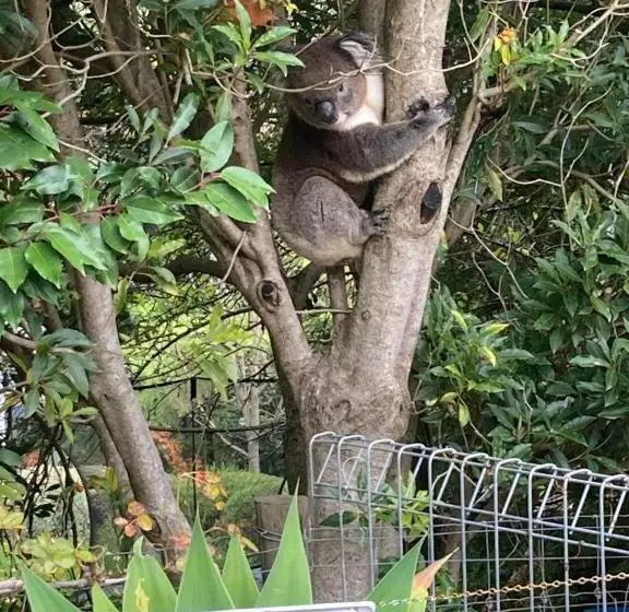 Majatalo Adelaide Hills B&b Accommodation