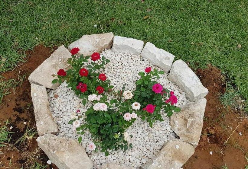 פנסיון Villa Nicol Affittacamere