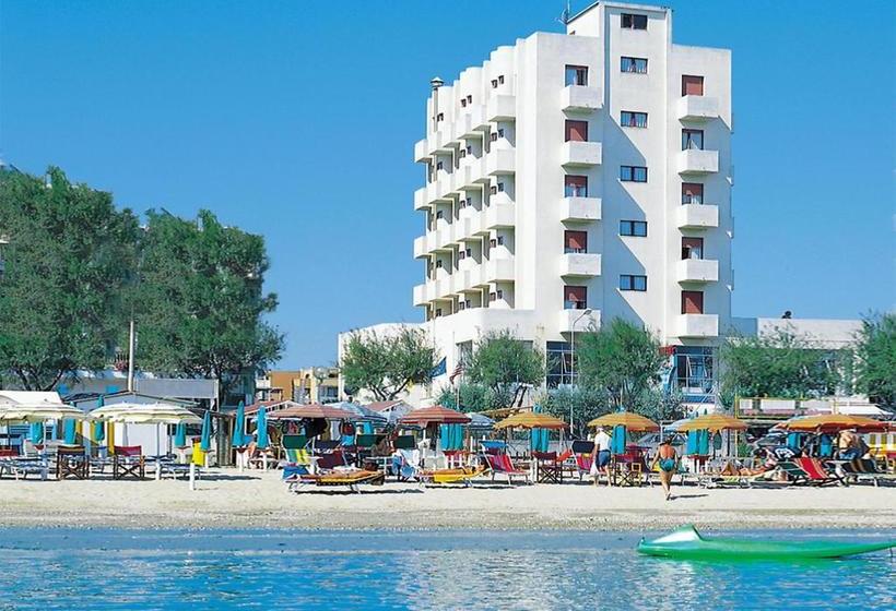 בית מלון כפרי International