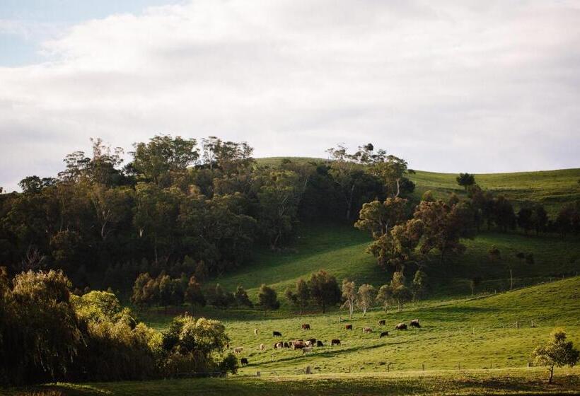리조트 Bendooley Estate