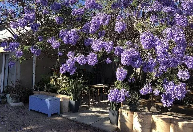ユースホステル Geraldton Backpackers