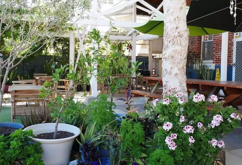 ユースホステル Geraldton Backpackers