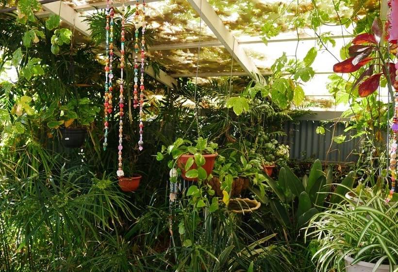 Общежитие Geraldton Backpackers