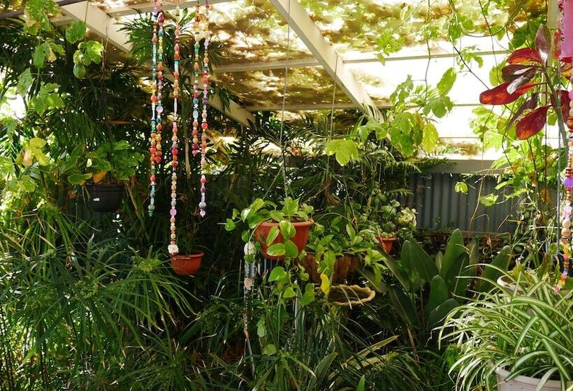 Общежитие Geraldton Backpackers