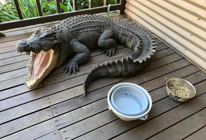 הוסטל Kimberley Travellers Lodge  Broome Yha