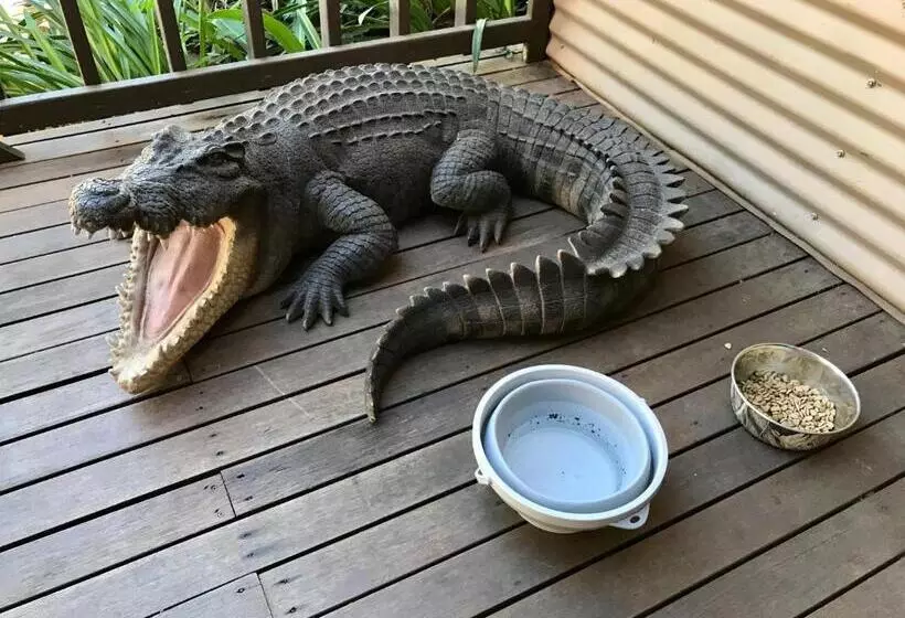 ユースホステル Kimberley Travellers Lodge  Broome Yha