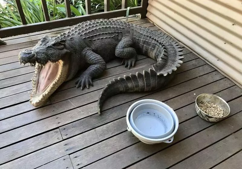 ユースホステル Kimberley Travellers Lodge  Broome Yha