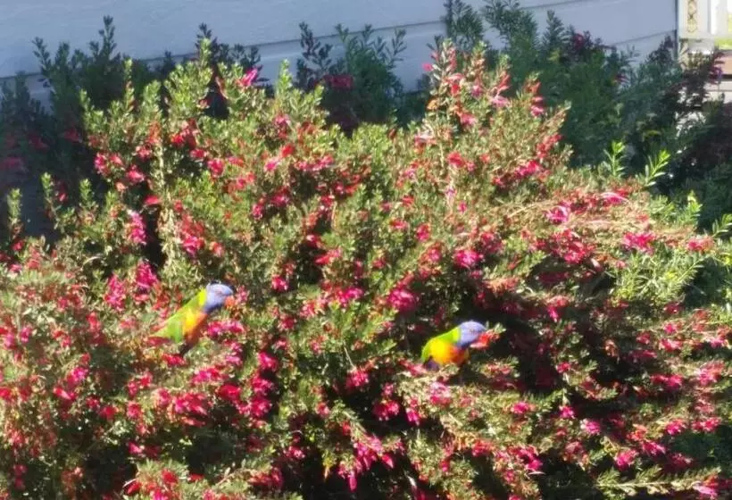 モーテル Injune Haven