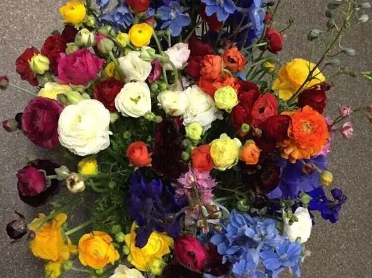 پانسیون Bakehouse  38 Restaurant & Guesthouse