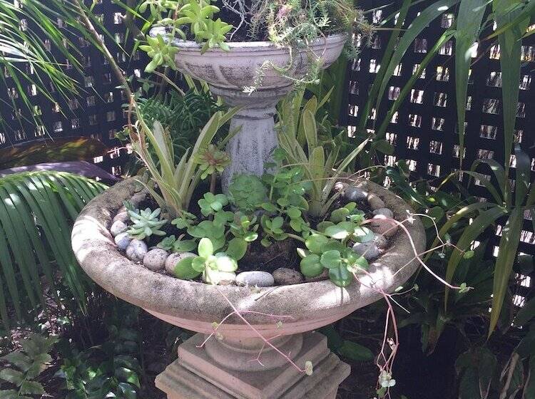 بنسيون Bakehouse 38 Restaurant & Guesthouse