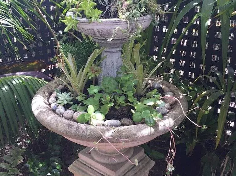 پانسیون Bakehouse  38 Restaurant & Guesthouse