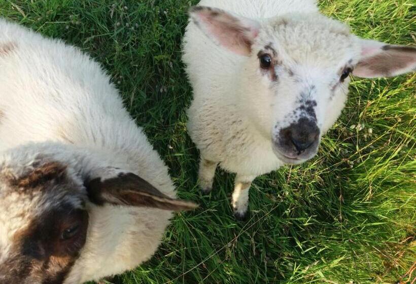 פנסיון Horska Chata Svetlanka