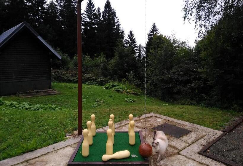 פנסיון Horska Chata Svetlanka